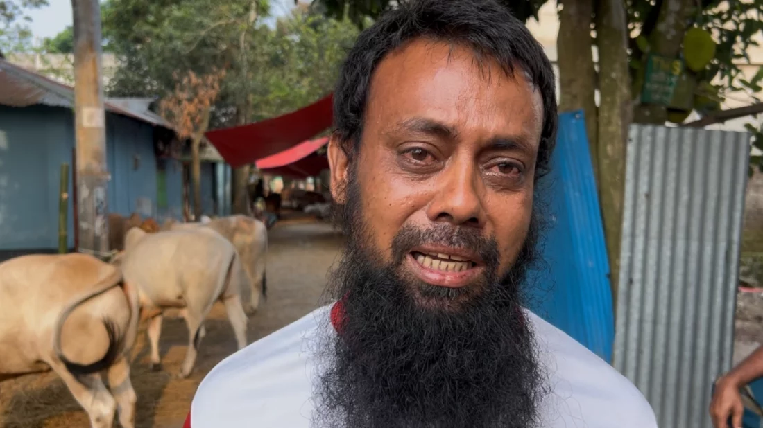 ফেনীতে র‍্যাব ক্যাম্পের কাছে অস্ত্রের মুখে জিম্মি করে গরু ছিনতাই